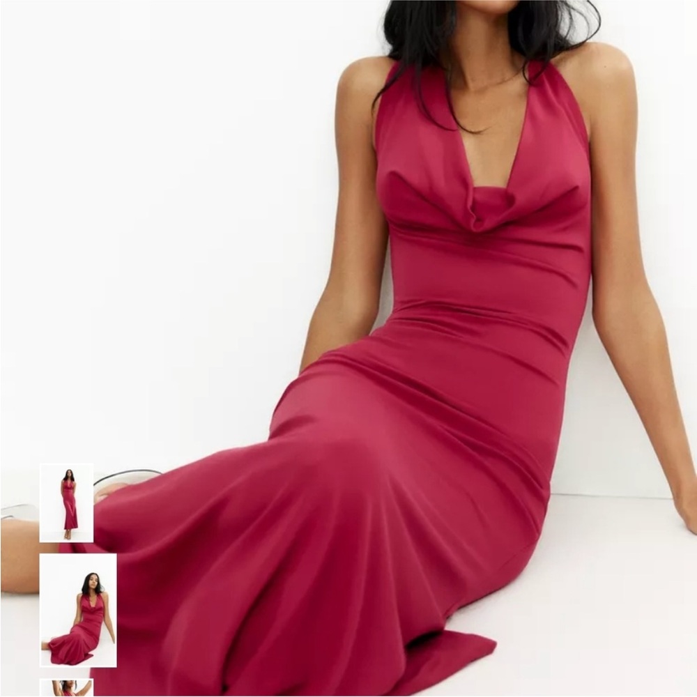 Zara Backless Magenta  Dress